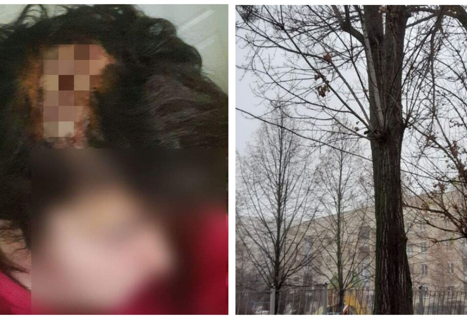 В Киеве в школе ветка упала на женщину - пострадавшая в больнице, фото  - фото 1