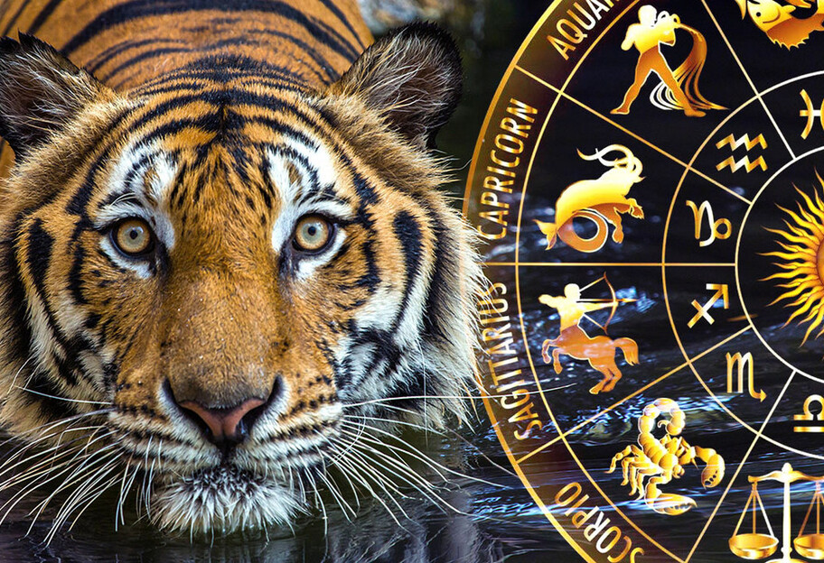 Східний гороскоп на 2022 рік – кому із знаків Зодіаку у рік Тигра не пощастить - фото 1