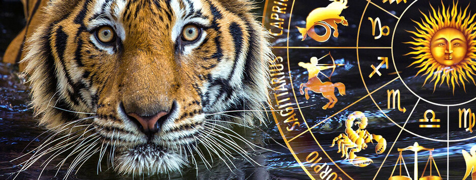 Везіння відвернеться: названо знаки східного Зодіаку, яких у 2022 році чекають складності