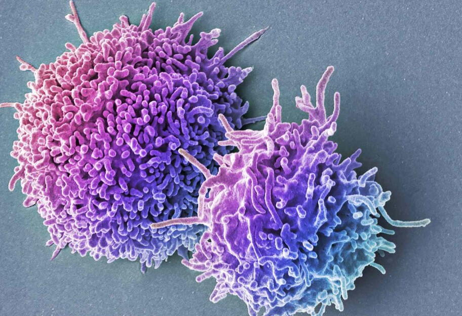 Імунітет від коронавірусу – вчені пояснили, чому деякі люди не заражаються - фото 1