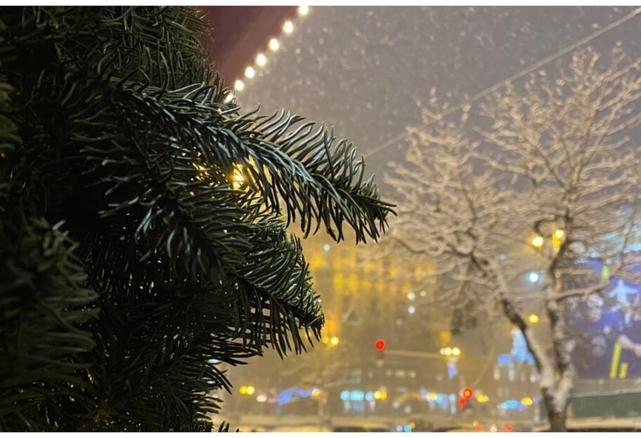 Снігопад у Києві - яка погода буде на довгих вихідних - фото 1