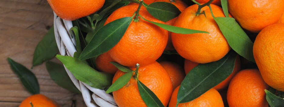 Найбільш новорічний фрукт: шість причин, чому шкідливо є багато мандаринів