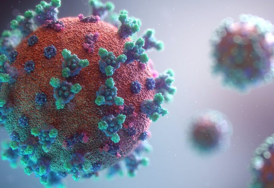 Новый штамм коронавируса B.1.640.2 выявили во Франции - что известно  - фото 1