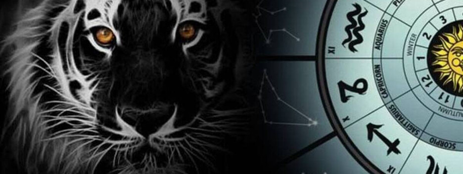 Год Тигра начнется с сюрпризов: Обезьянам откроется тайна, а Петухов ждет непростой выбор