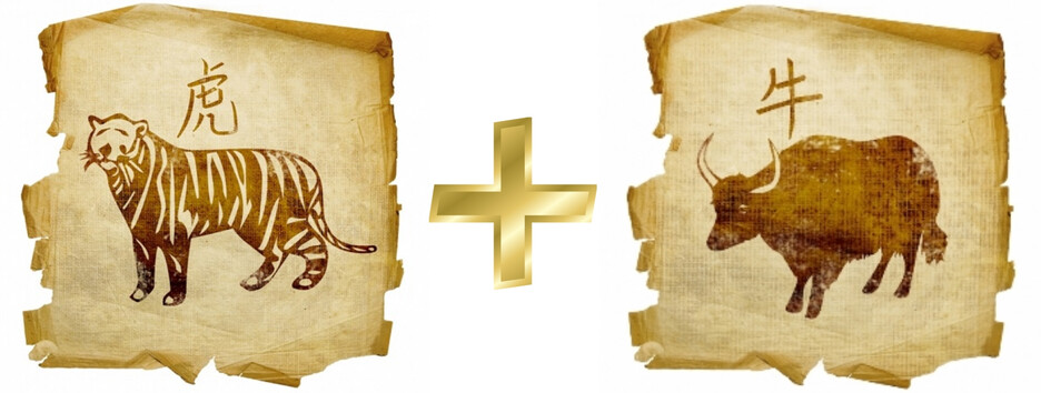 Названо тварин-покровителей 2022 року: на кого чекає успіх