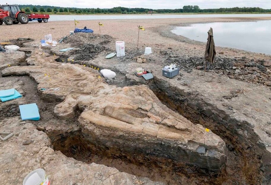 У Великій Британії знайшли стародавнього іхтіозавра, якого називають морським драконом - фото - фото 1