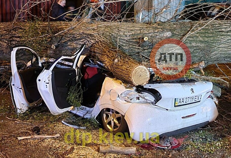 В Киеве упало дерево и раздавило 8 машин, фото, видео  - фото 1