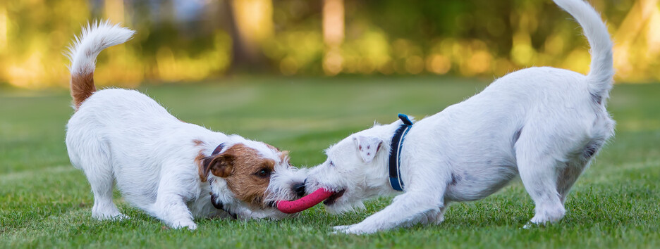 На разных языках: пять зодиакальных пар, которым сложно общаться