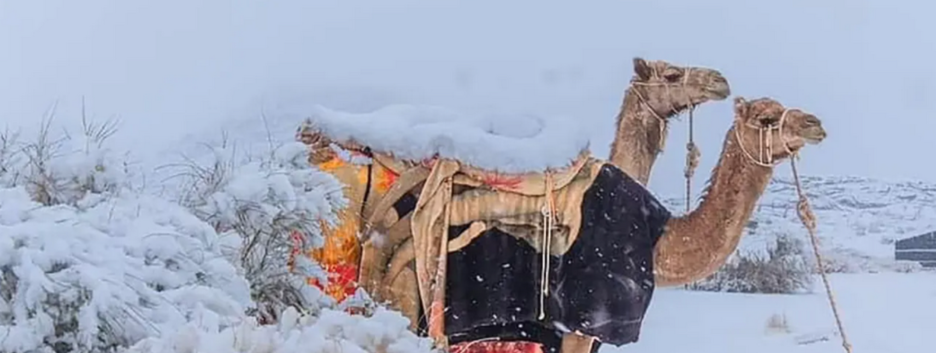 Рідкісне видовище: піщані дюни Сахари покрив сніг (фото, відео)