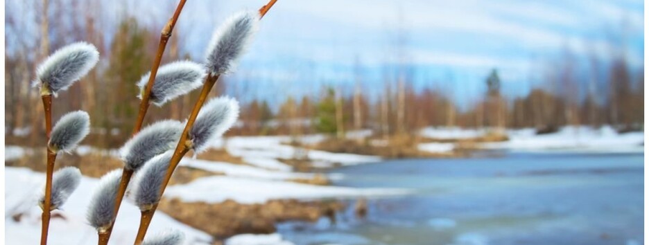 Сніг наприкінці березня і жодної спеки у травні: якою буде весна у Києві