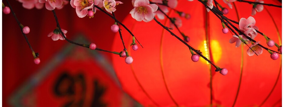 Скоро китайский Новый год: названы счастливые цвета и числа для каждого знака