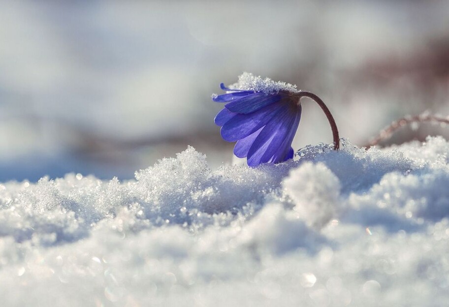 Погода в Украине в феврале - будет ли весна раньше срока, синоптик ответил - фото 1