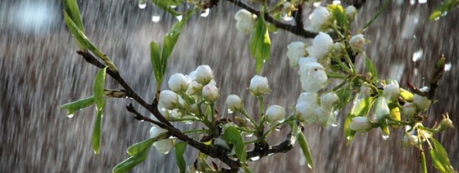 Весна удивит контрастами: апрель во Львове начнется с морозов, а в Харькове будет +17