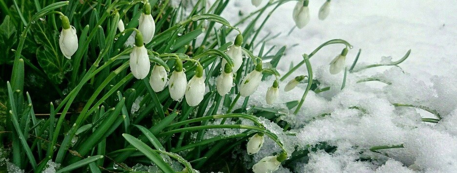 Наступит рано и резко: климатолог рассказала, когда в этом году ждать весну