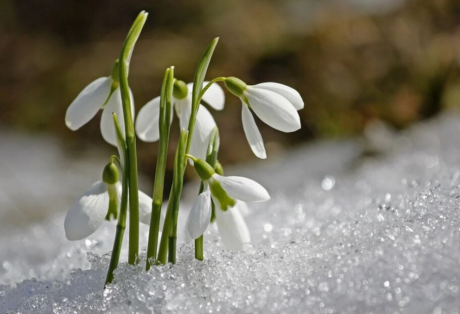 Погода в Україні - синоптики кажуть, що весна настане після 25 лютого - фото 1