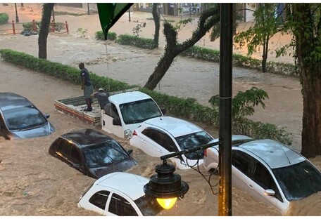 Машины плывут по улицам: в Бразилии мощное наводнение с десятками жертв (фото)