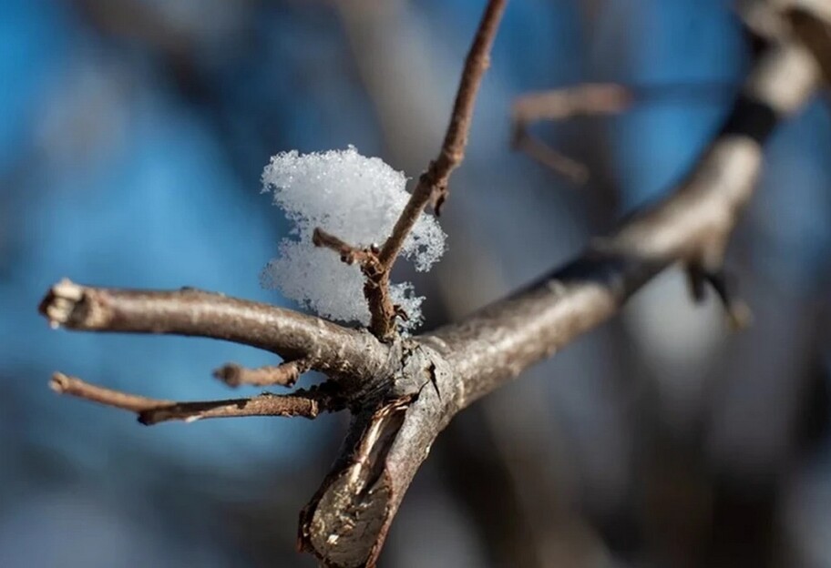 Погода в Украине - в конце февраля морозы отступят, потеплеет до +14 - фото 1