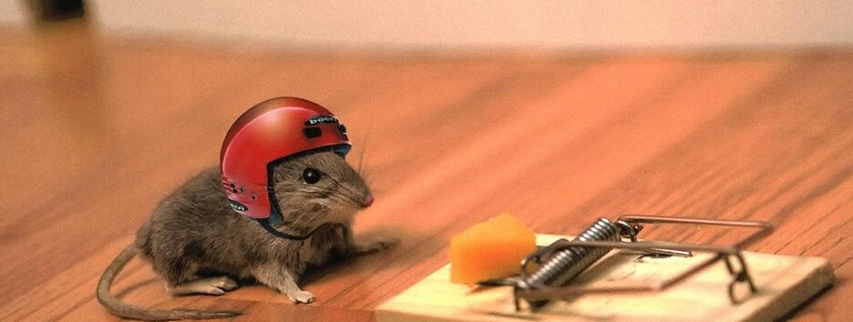 Одни и те же грабли: 4 знака Зодиака, которые не учатся на ошибках