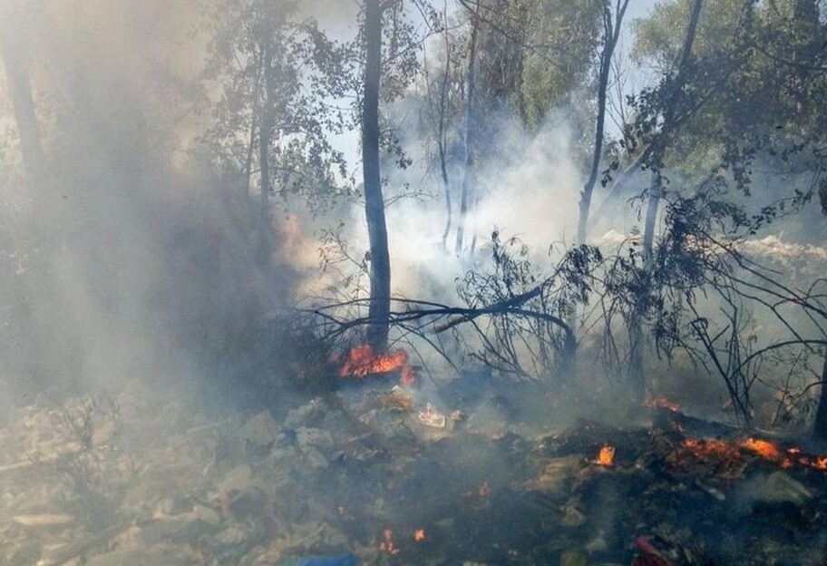 У Києві пожежна небезпека – городянам не можна відвідувати лісопаркові зони - фото 1