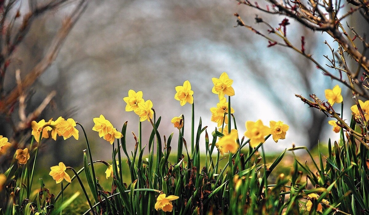 Погода в апреле: когда в Украину придет настоящая весна