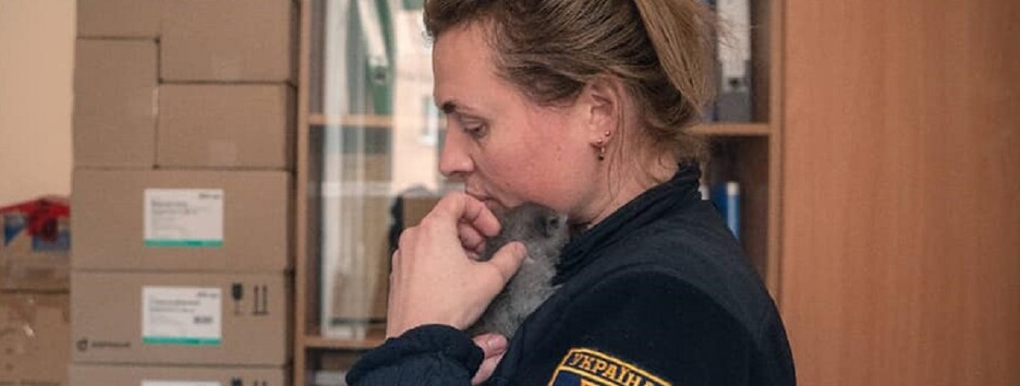 У зруйнованій Бородянці під завалами будинку знайшли крихітне кошеня (фото)
