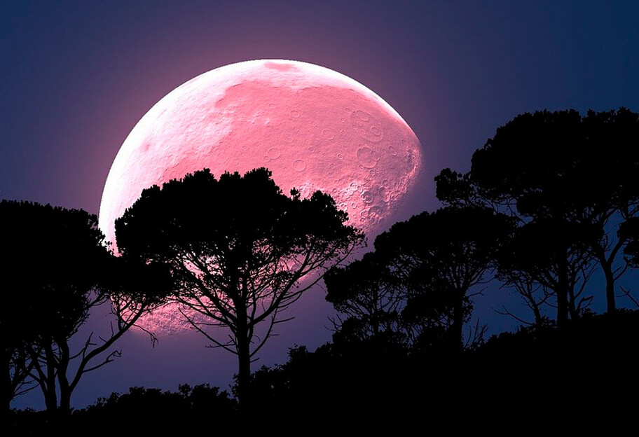 Розовая Луна 16 апреля - чего ждать знакам Зодиака  - фото 1