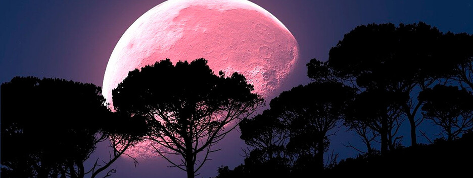 Розовая Луна: как она изменит жизнь знакам Зодиака 