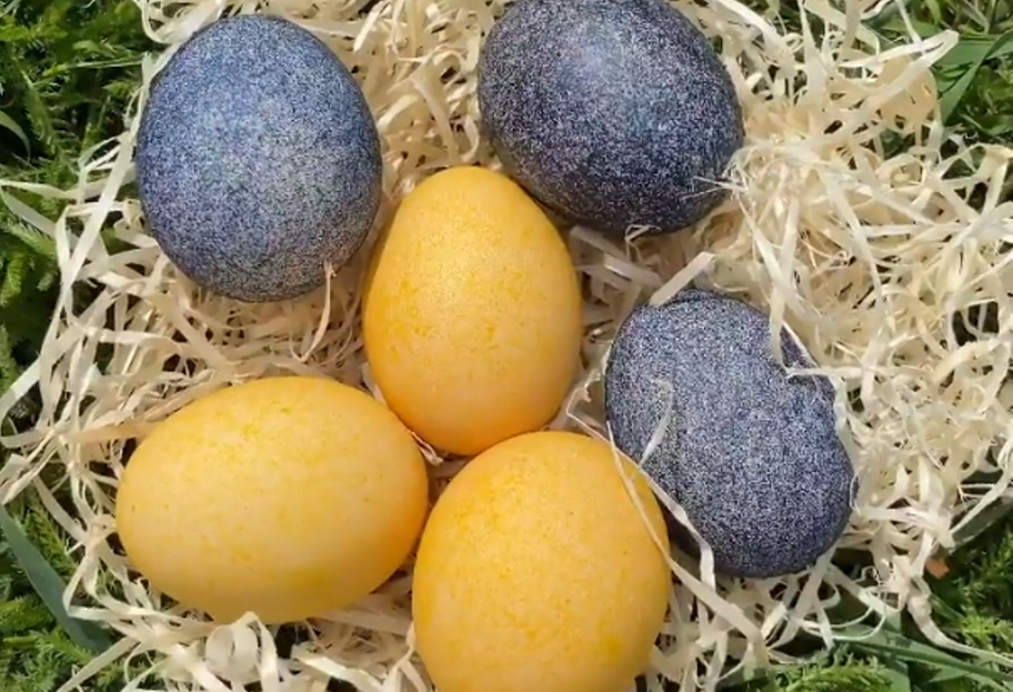 Патріотичні крашанки - як пофарбувати яйця за допомогою рису - відео - фото 1