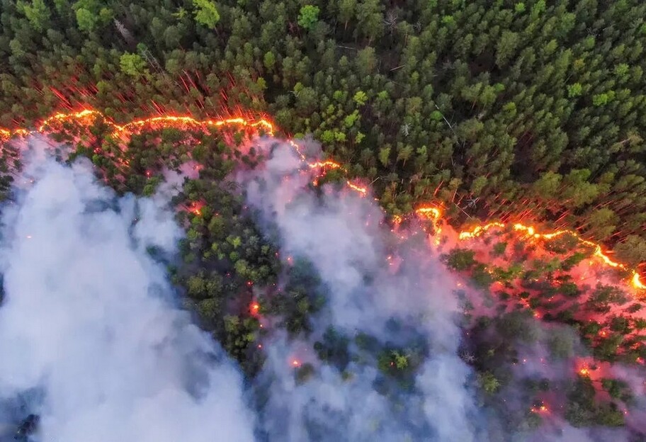 Пожежі лісу в Сибіру не гасять - у Росії не вистачає військових - фото 1