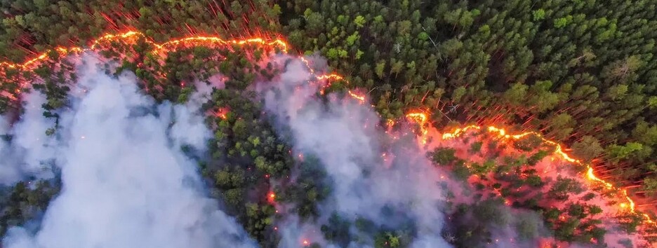 В Сибири масштабные бесконтрольные лесные пожары: не хватает военных, чтобы их тушить 