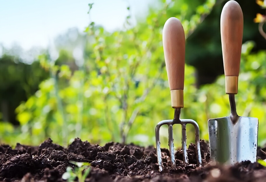 Посевной календарь на май 2022 года: садовые и огородные работы по дням - фото 1