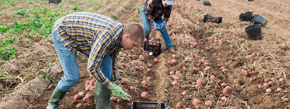 Для підтримки штанів: Калінінградський автохолдинг виділив своїм співробітникам городи