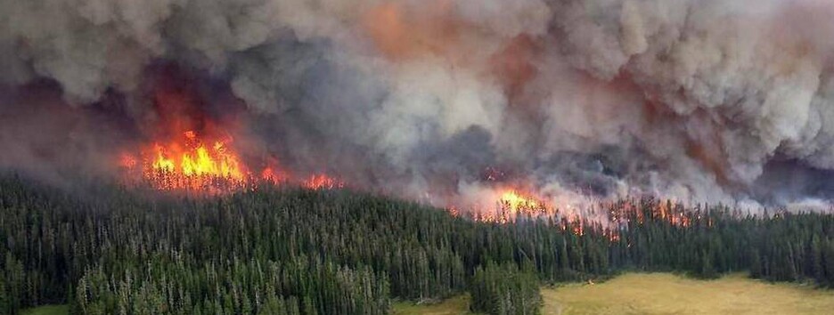 Лесные пожары в Сибири тушат уголовники: все военные в Украине 