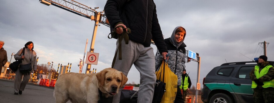 Въезд в Польшу с животным: кто может рассчитывать на упрощенную процедуру