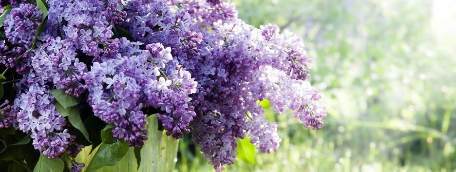 После похолоданий с дождями придет жара: какой будет погода до конца мая