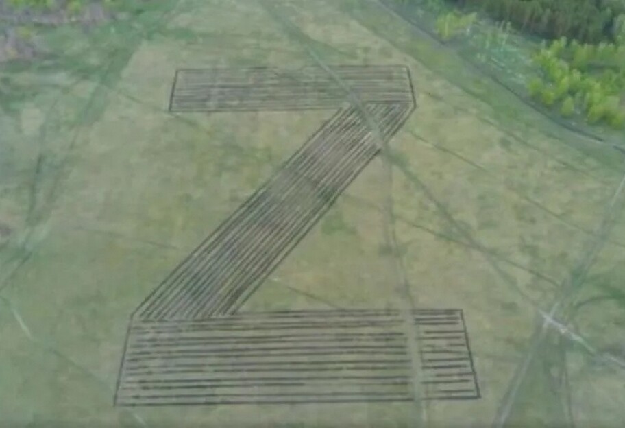 У Самарській області висадили сосни у вигляді літери Z, відео - фото 1
