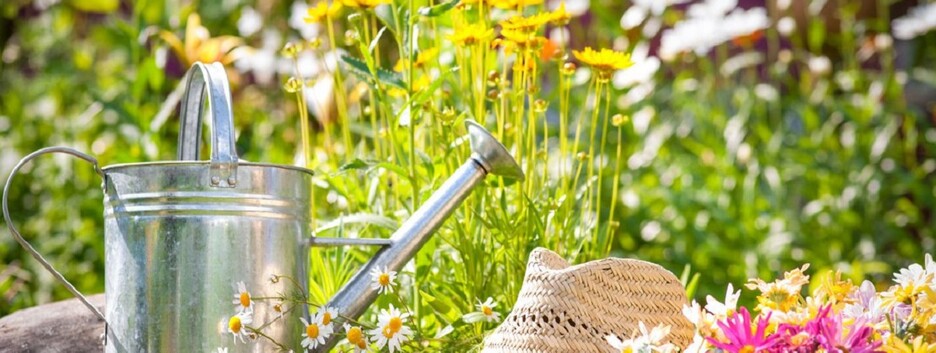 Лунный посевной календарь: благоприятные дни для садовых работ в июне