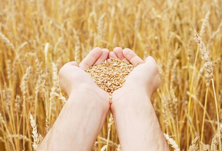 Из-за агрессии России запасов пшеницы на Земле осталось всего на 10 недель, - ООН