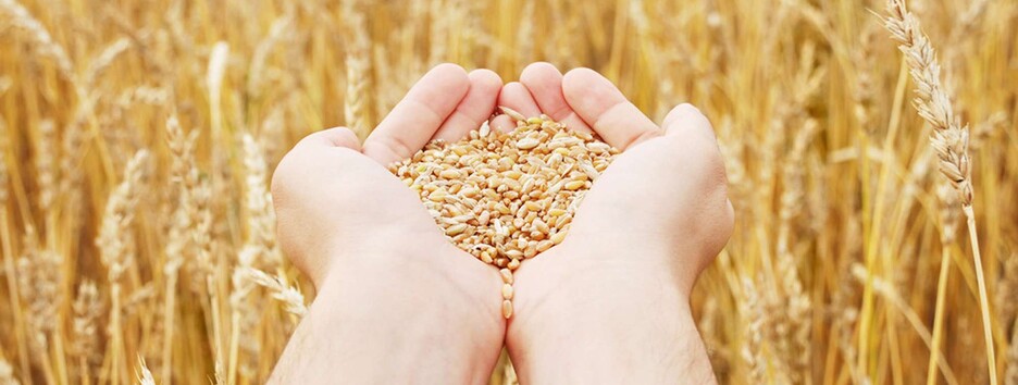 Из-за агрессии России запасов пшеницы на Земле осталось всего на 10 недель, - ООН