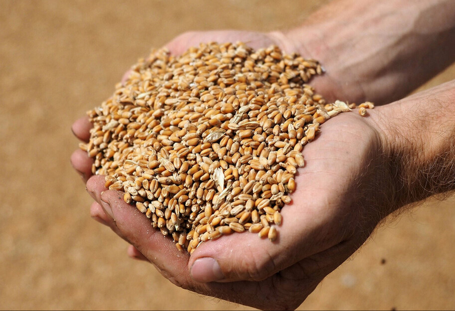 Экспорт зерна из Украины - Лавров назвал условие для прохода судов - фото 1