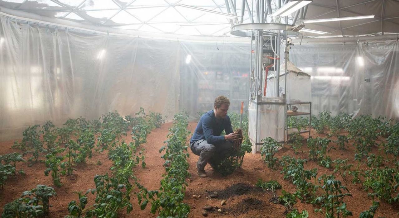 Эксперимент доказал, что на Марсе можно выращивать картофель