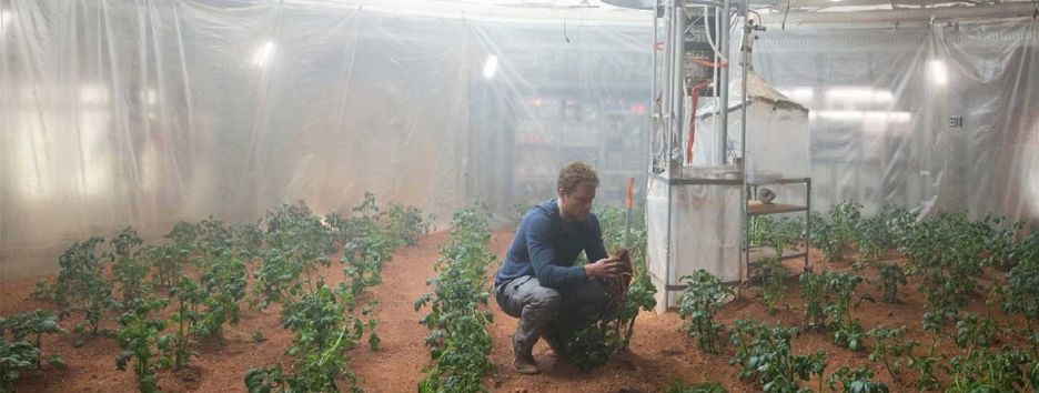 Эксперимент доказал, что на Марсе можно выращивать картофель