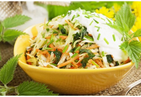 Быстро освежит в жару: рецепт простого салата из капусты и крапивы