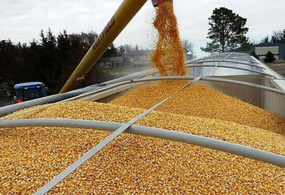 Вывоз зерна из Украины - Лавров высказался про решение проблемы - фото 1