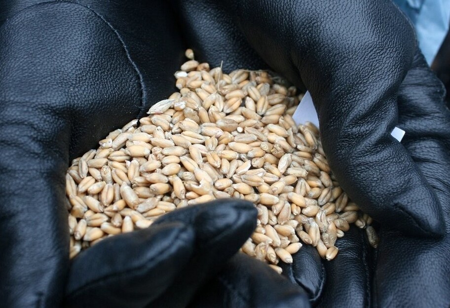 Росія краде зерно в Україні - Голодомор починався так само - фото 1