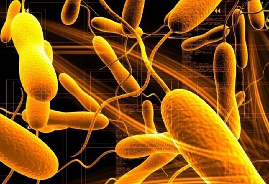 Холера в Мариуполе - Комаровский опроверг наличие заболевания в городе - фото 1