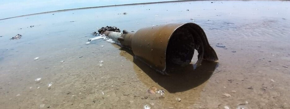 Страдают не только люди: оккупанты уничтожают заповедник 