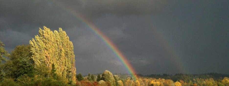 В Украине существенно похолодает: температура воздуха упадет до +9