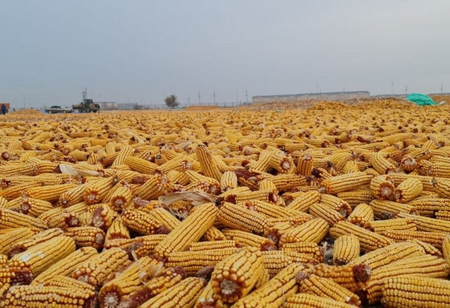 Експорт українського зерна – перше судно з кукурудзою вже в Іспанії - фото 1