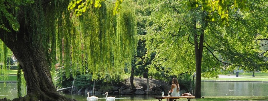 Киевские парки и скверы проверили на взрывчатку: где безопасно гулять